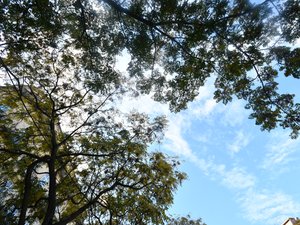 Un ciel lumineux mais voilé, quelques gouttes de pluie… voici à quelle météo s’attendre pour la fin du week-end dans le pays