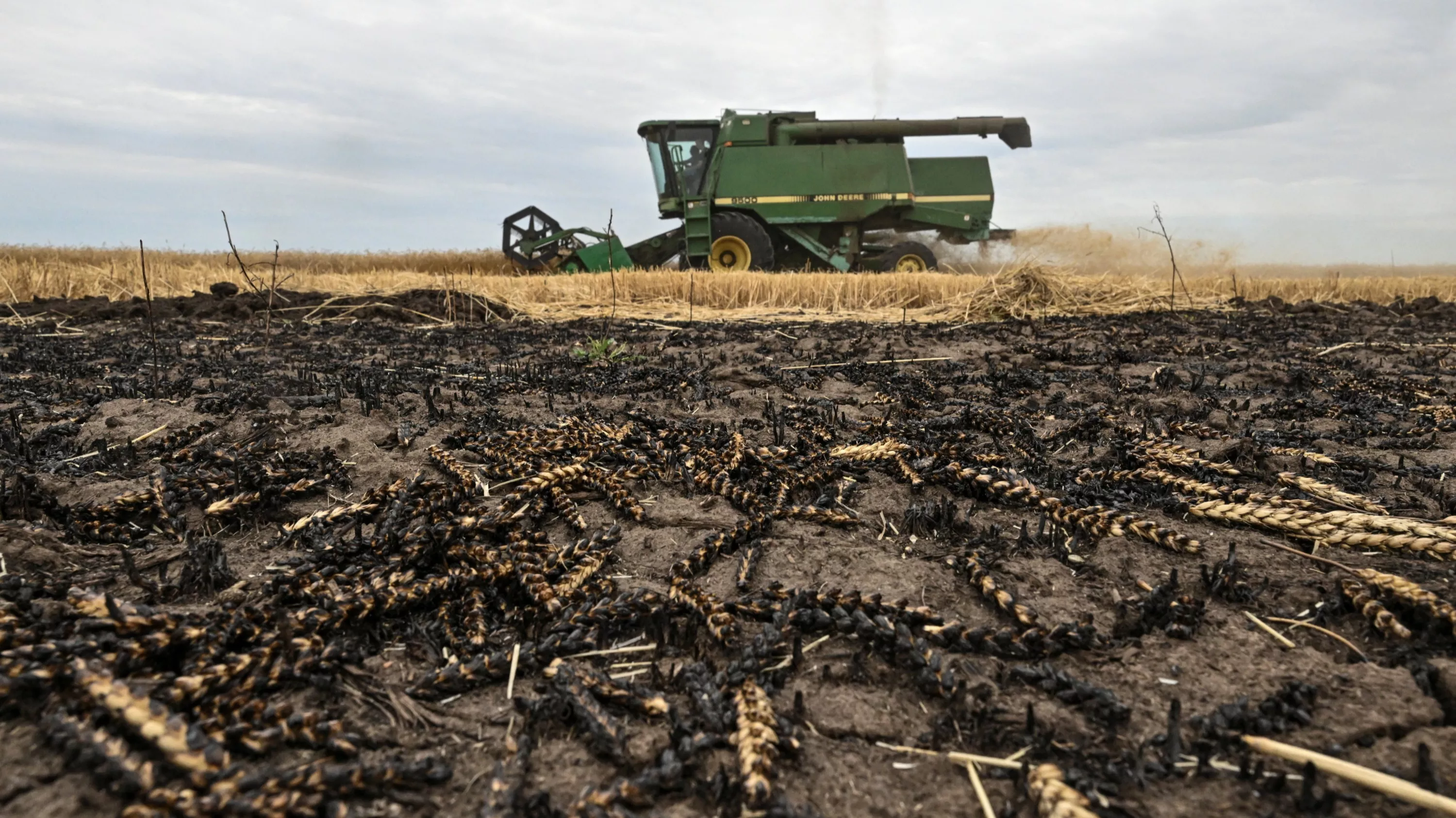 « Un énorme épuisement moral et physique » : le cri d’alarme des agriculteurs face à une « catastrophe inédite »