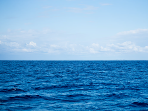 Un homme de 78 ans porté disparu au Canet-en-Roussillon : recherché sur terre et en mer, le septuagénaire reste introuvable ce vendredi soir