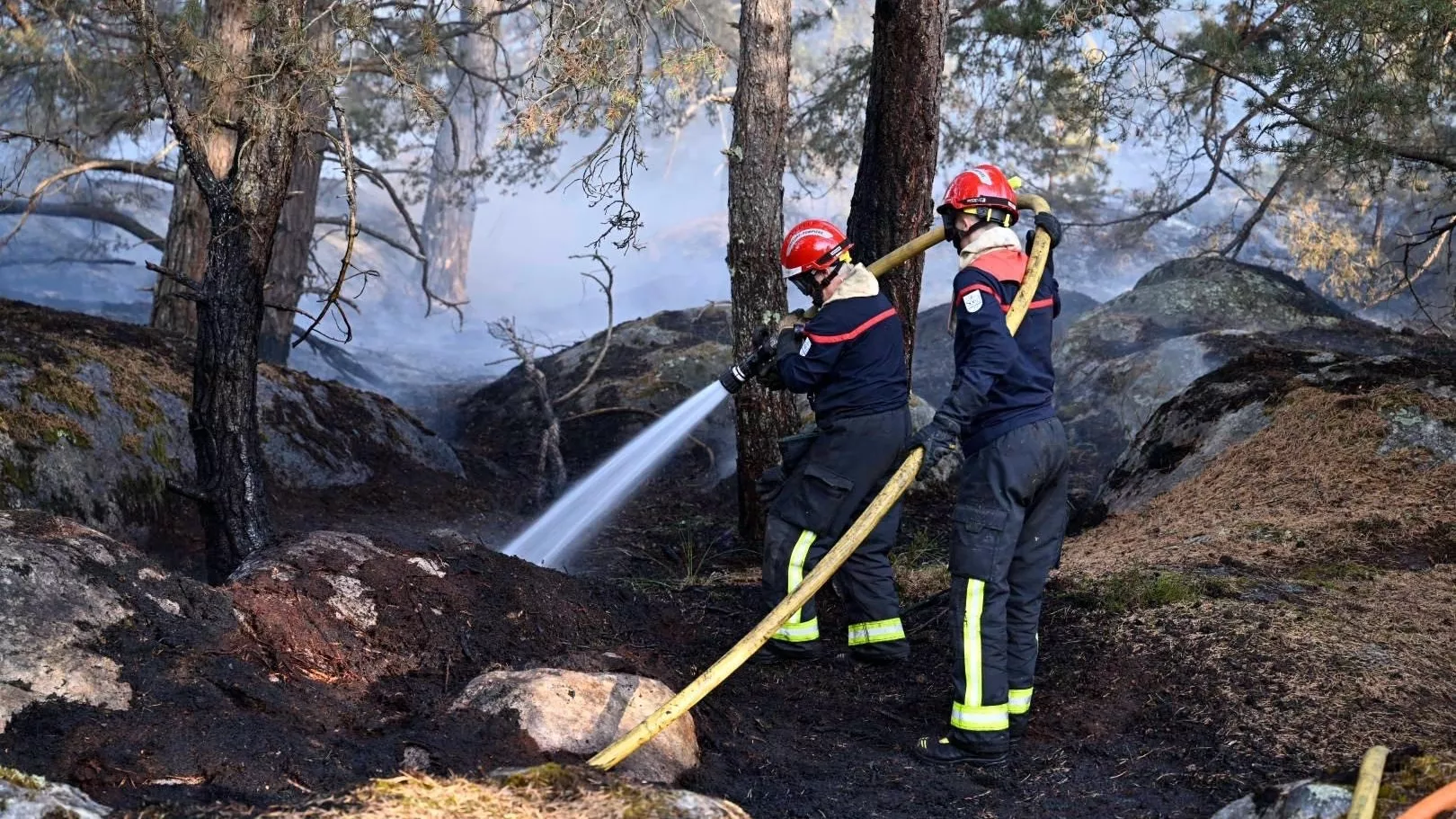 Un incendie a consumé 4 hectares en forêt de Fontainebleau, un hélicoptère bombardier d’eau engagé par les pompiers