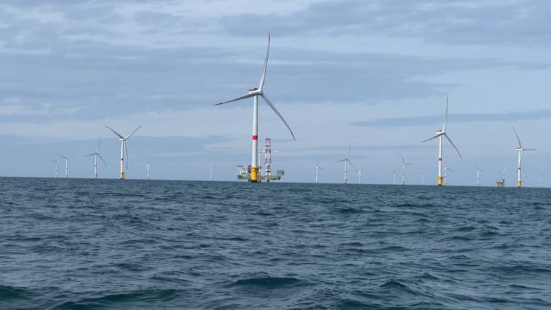 Un moyen de réduire la dépendance de la France aux importations d'énergies fossiles: l'État débloque 260 millions d'euros pour des projets d'éolien flottant dans cinq ports