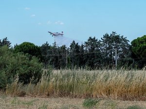 Un nouveau feu de végétation se déclare à Milhaud, aux portes de Nîmes : de gros moyens engagés pour limiter la propagation