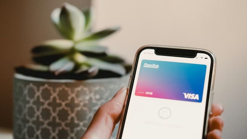 Une rémunération qui ferait de lui l'homme le plus riche du Royaume-Uni: le fondateur de Revolut s'inspire d'Elon Musk pour négocier des émoluments XXL