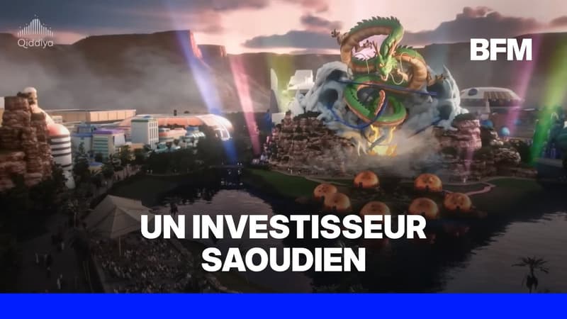 Val-d'Oise: bientôt un parc d'attraction Dragon Ball près de Paris?